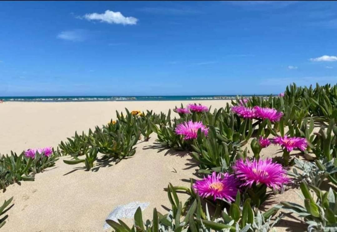 Marea Il Tuo Angolo Di Paradiso In Sicilia Ti Aspetta Prenota Ora E Vivi La Magia Del Mediterraneo Alcamo Marina Bagian luar foto
